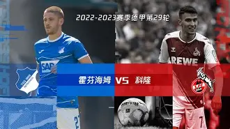 球天下体育直播-霍芬海姆现任主教练